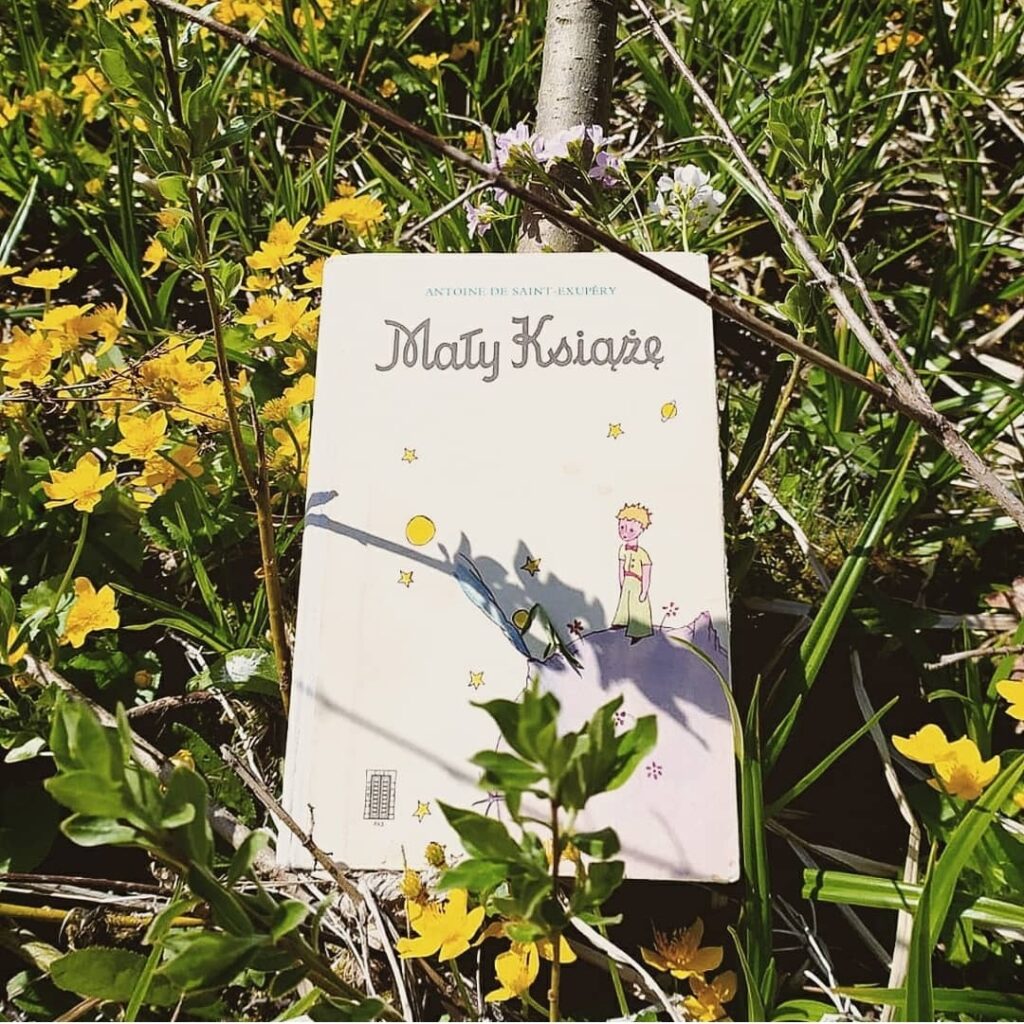 „Mały Książę” - Antoine de Saint-Exupéry : książka o różnych obliczach miłości