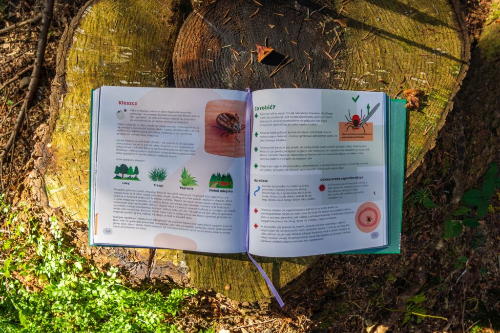 Bezpieczeństwo i pierwsza pomoc dla dzieci i młodzieży