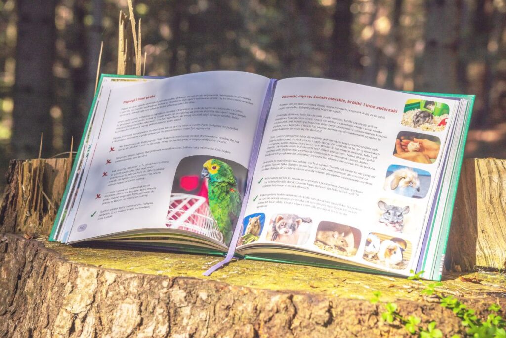 bezpieczeństwo i pierwsza pomoc dla dzieci i młodzieży